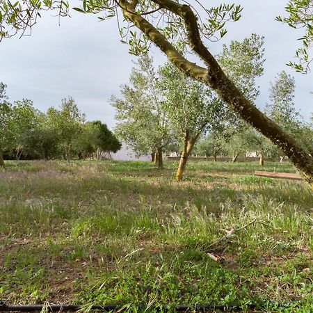 Agroturismo Malbuger Nou Menorca -Adults Only- Mahón Eksteriør billede